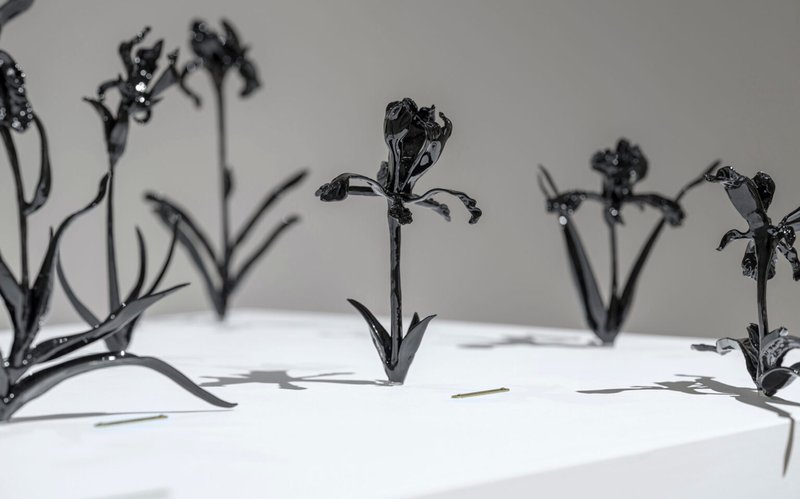 Anahita Norouzi, What It Is In a Name, 2024