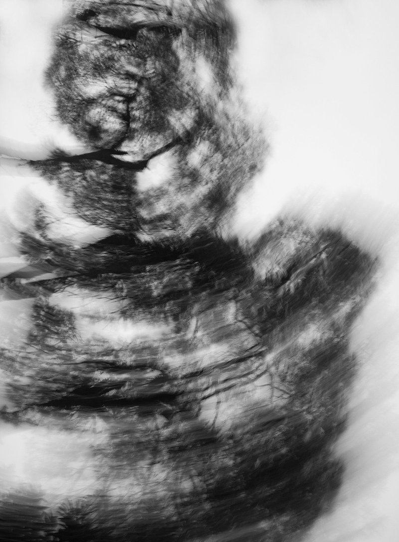 Mohammad Amin Daneshvar, Untitled