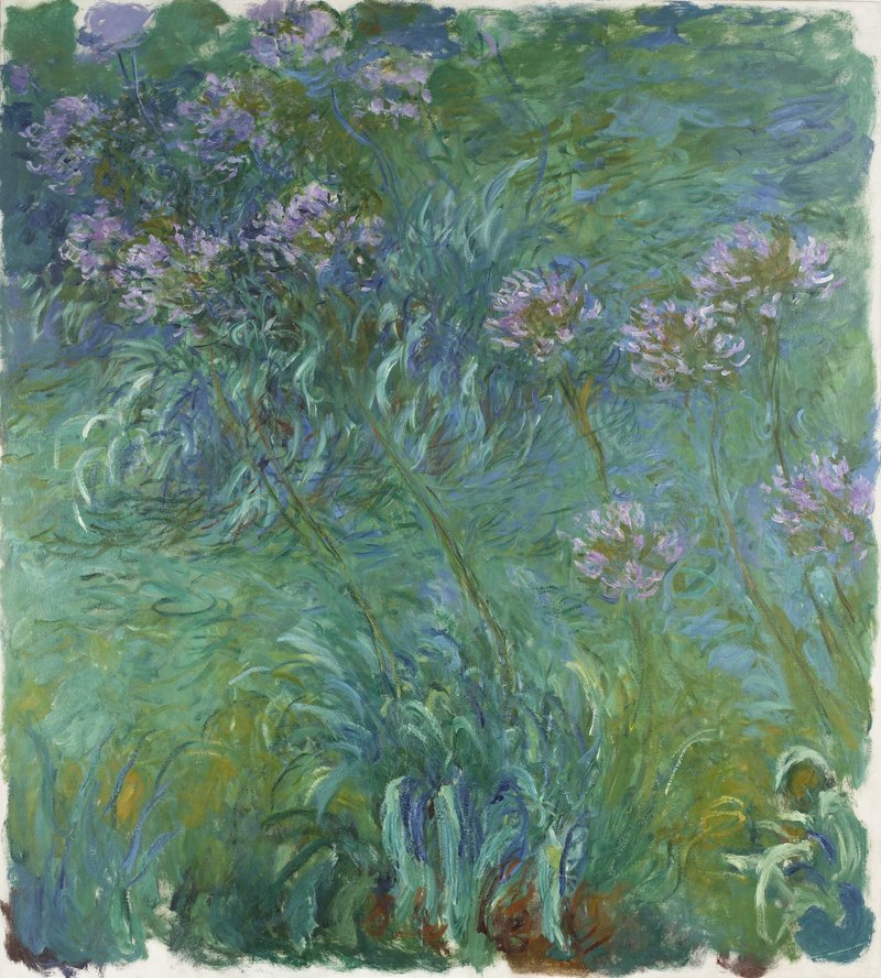 Claude Monet, Agapanthus, 1914