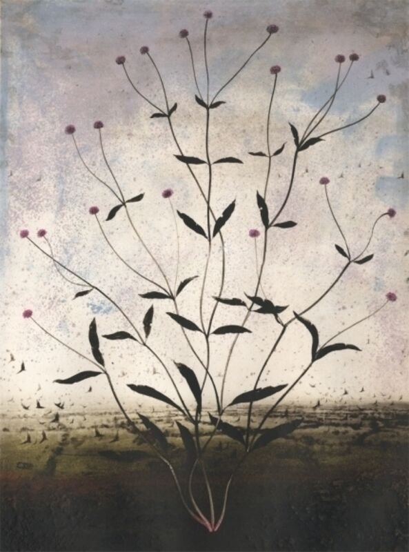 Michael Canning, Insomnia, 2012