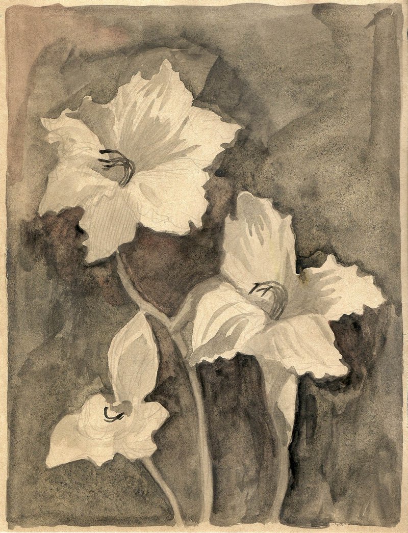 Hosein Shirahmadi, Flowers no.10, 2020