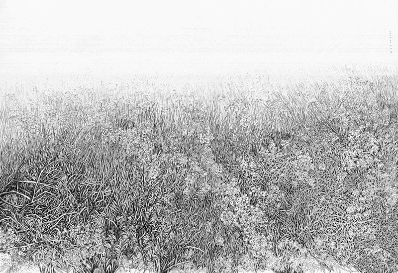 Mahsa Arabzadeh, Untitled