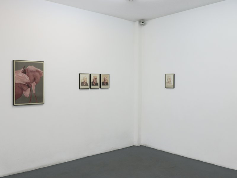 Disintegration, installation view