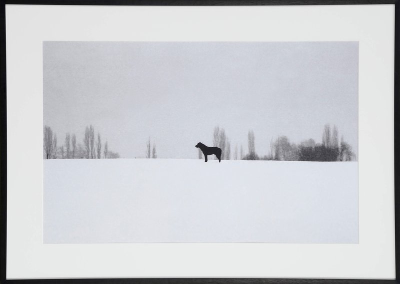Abbas Kiarostami, Untitled, 2004