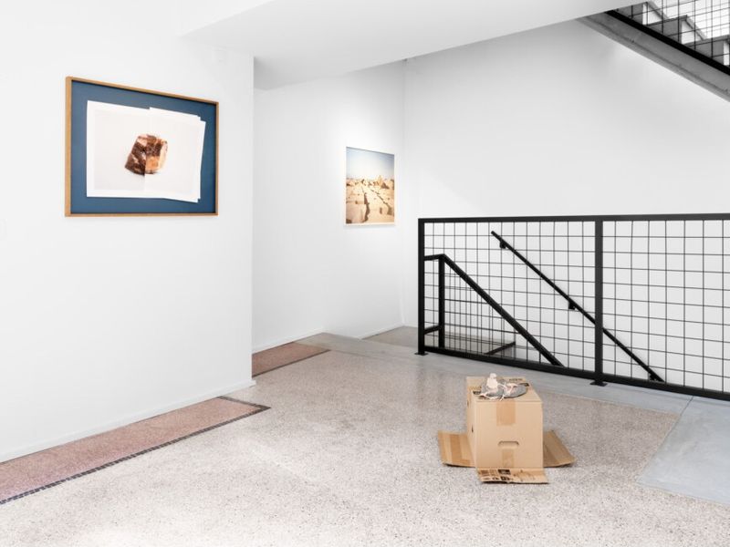 Installation view.