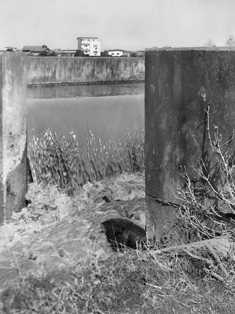Rouzbeh Maleki, Untitled