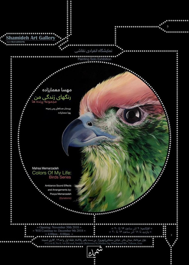 Colors Of My Life: Birds Series