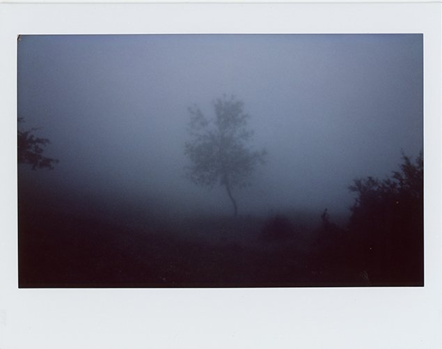 Mehrdad Afsari, Untitled