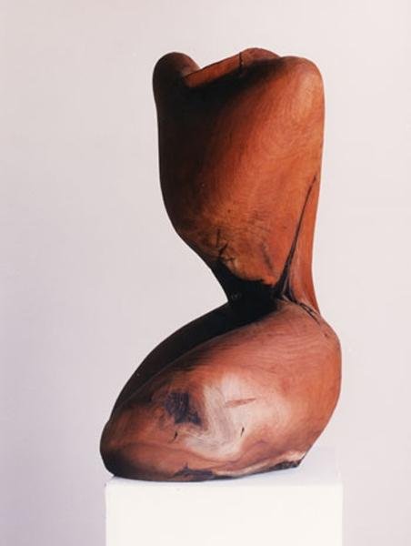 Fatemeh Emdadian, Untitled