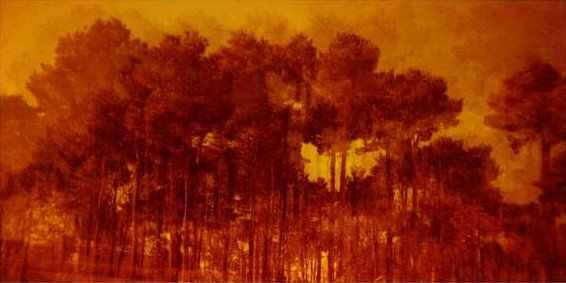 Amirhossein Biparva, Untitled, 2015