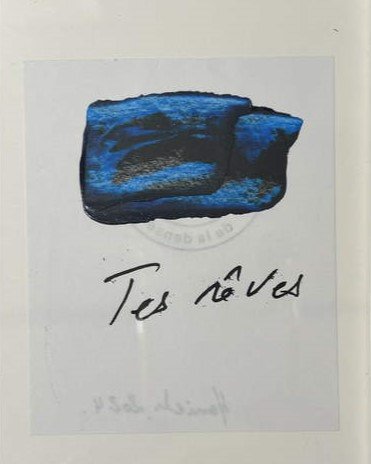 Hanieh Delecroix, Tes rêves, 2023
