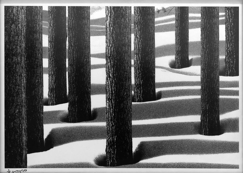 Abbas Kiarostami, Untitled, 2006