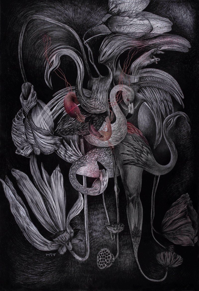 Azin Rostami, Untitled