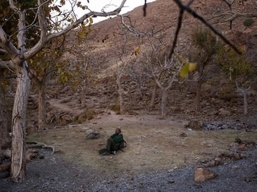 Marjan Yazdi, From Poachers to Protectors