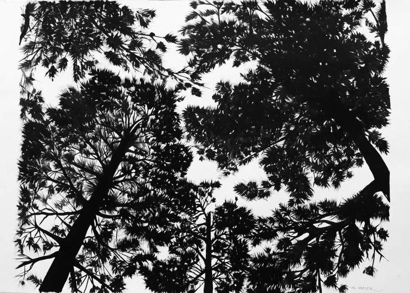 Ali Malek, Untitled