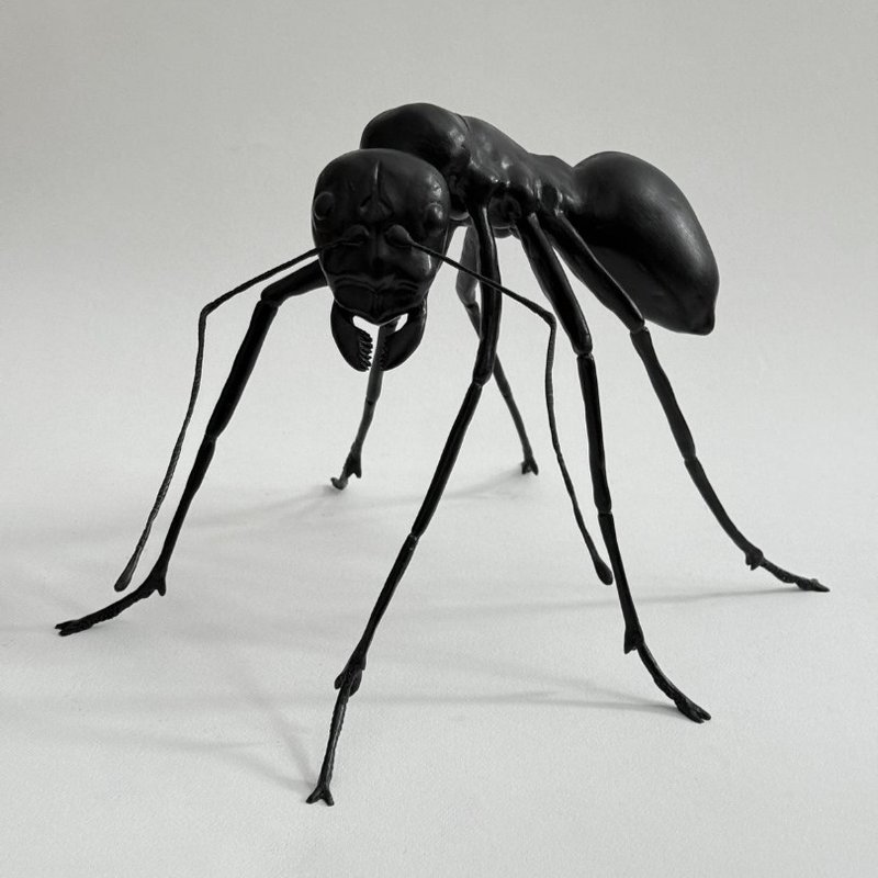 Ant