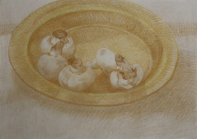 Neda Mirhosseini, Mushrooms, 2021