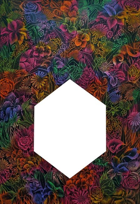 Paria Farrokhi, Untitled