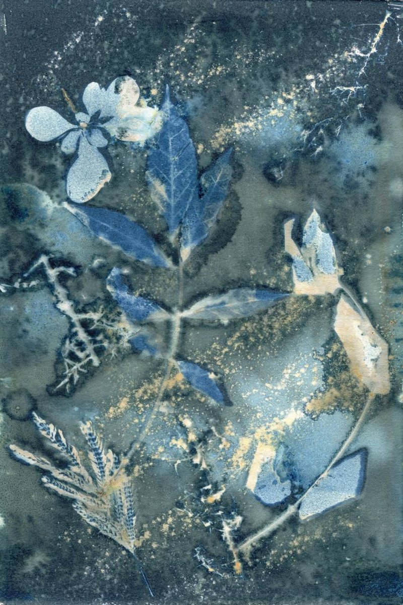 Nazli Abbaspoor, Untitled, 2024