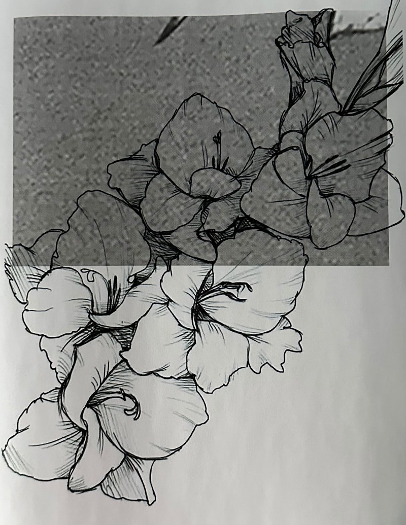 Melika Shafahi, Untitled, 2023