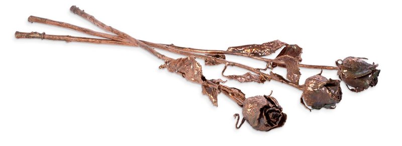 Farnaz Rabieijah, Roses, 2019