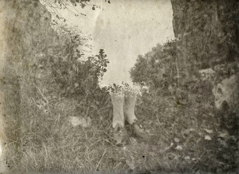Alessandra Calò, Chthonic (χθόνιος), 2024