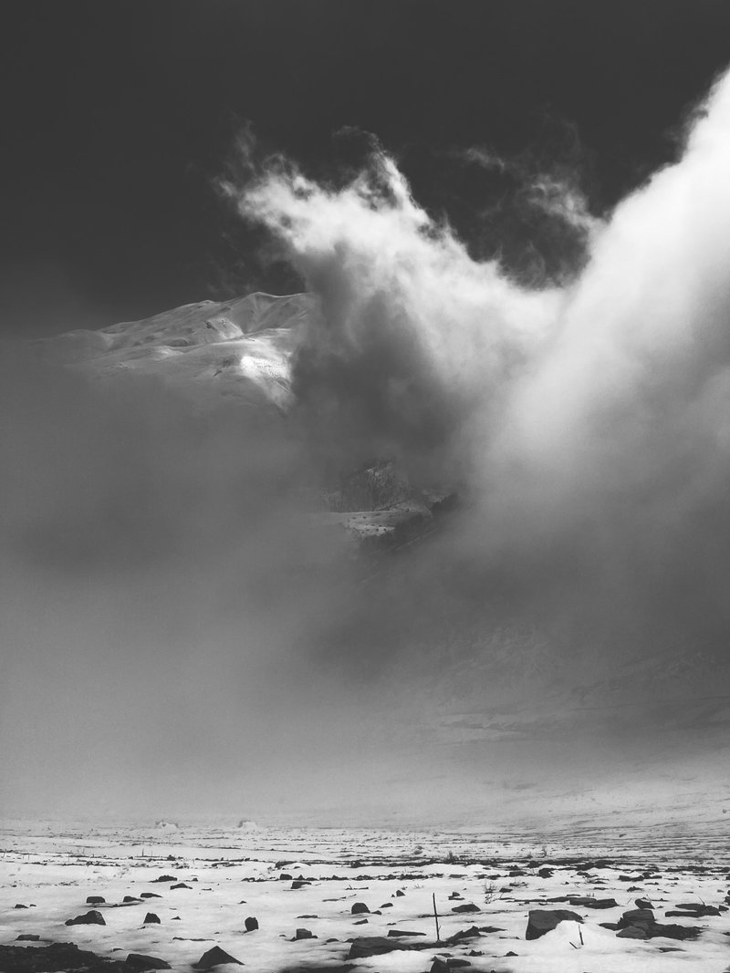 Ehsan Karabi, Untitled, 2022