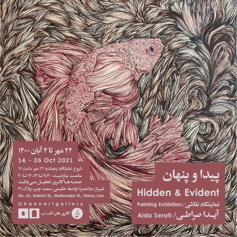 پیدا و پنهان