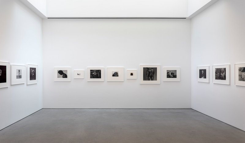 Robert Mapplethorpe's Exhibition at Gladstone Gallery 
