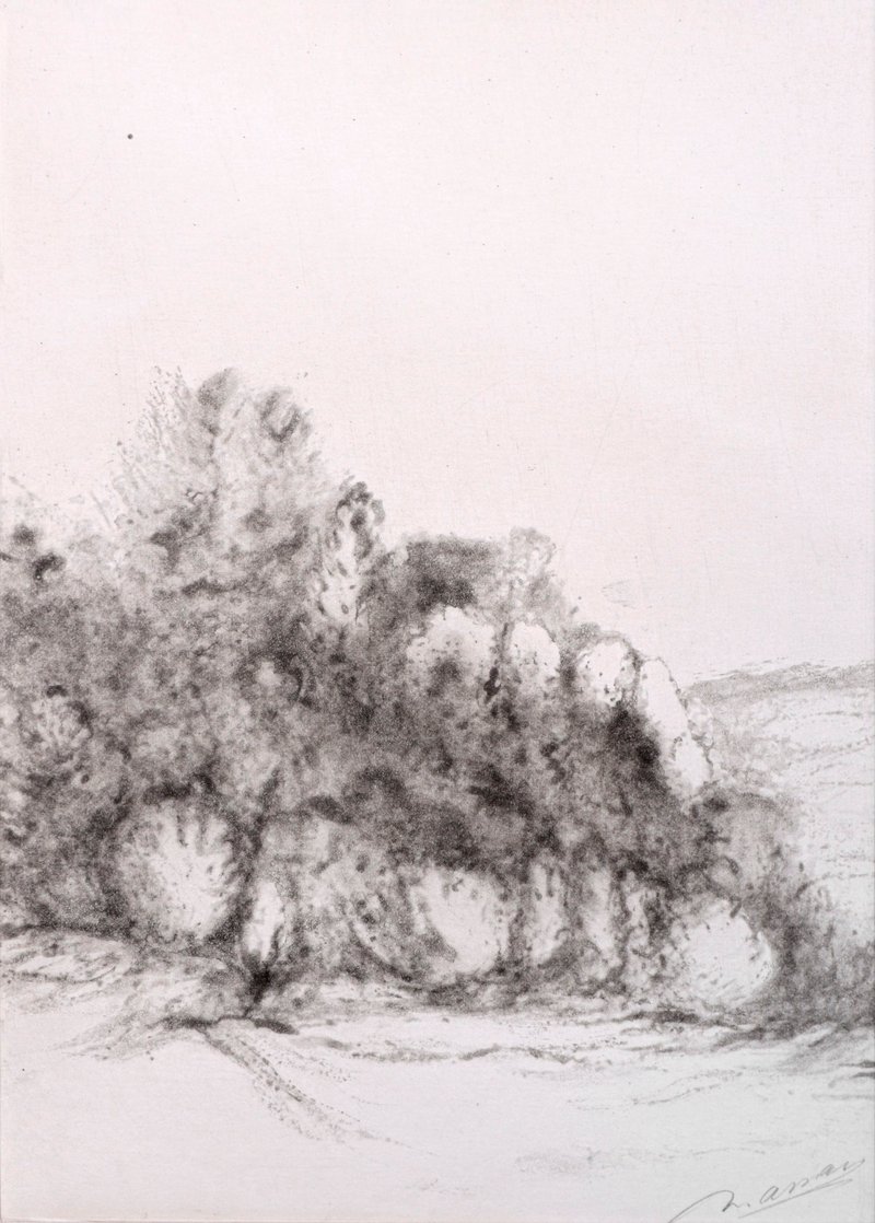 Nasser Assar, Untitled