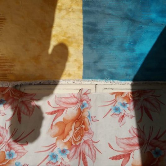 A Selection of Photographs by Hamze Mokhtari