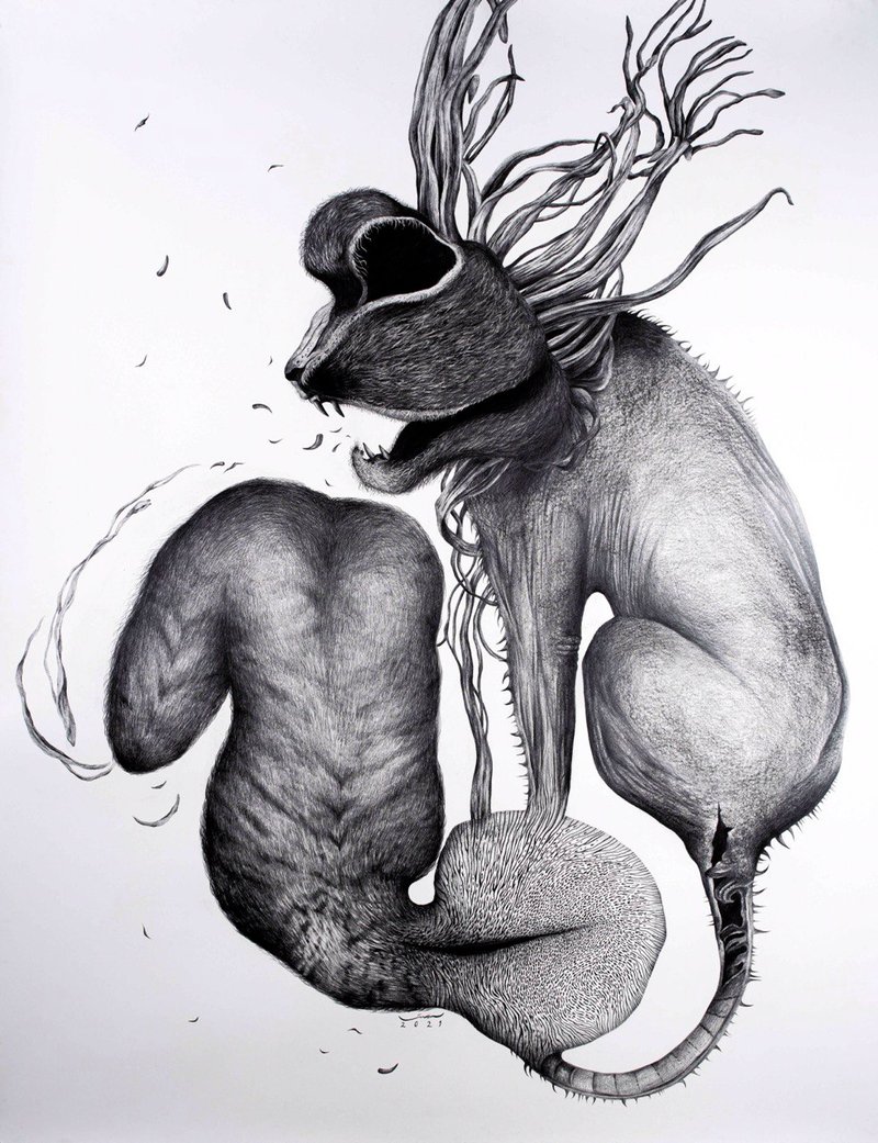 Azin Rostami, Untitled
