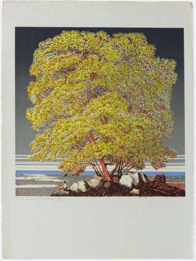 Davood Emdadian, Untitled, 1980