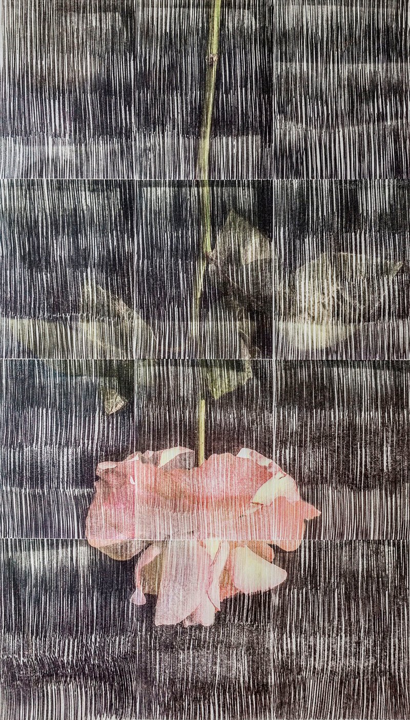 Sasan Abri, Untitled, 2020