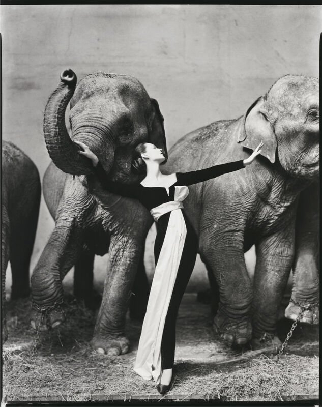Richard Avedon, Dovima with Elephants, Evening Dress by Christian Dior, Cirque d’Hiver, Paris, 1955