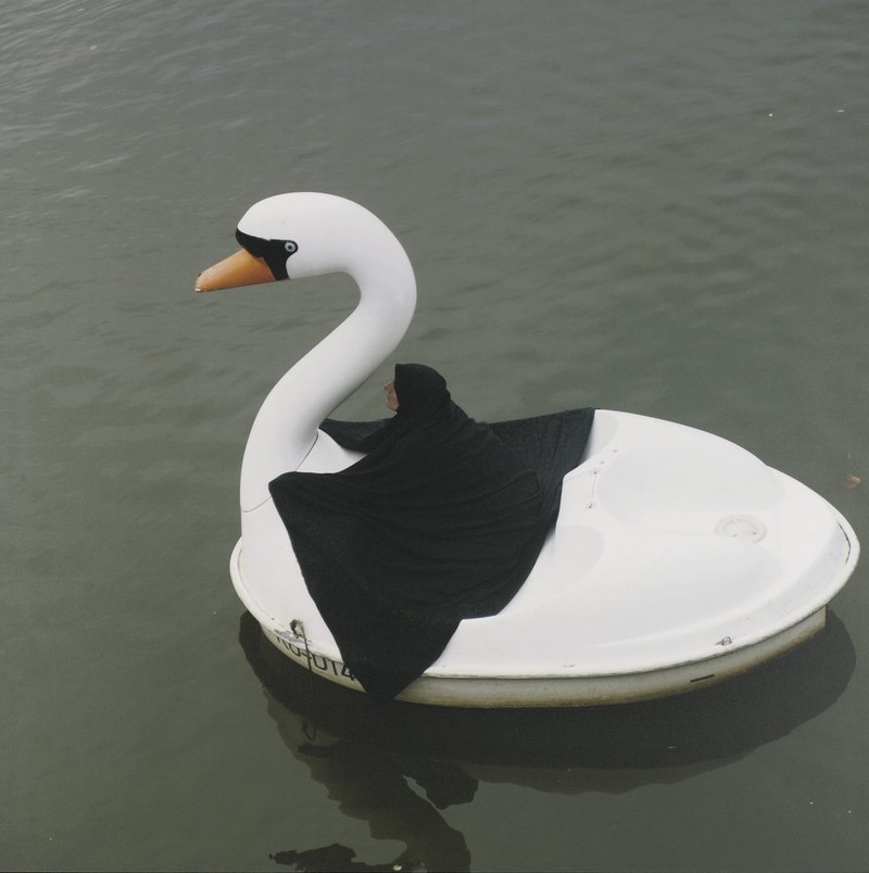 Parastou Forouhar, Swan Rider, 2004