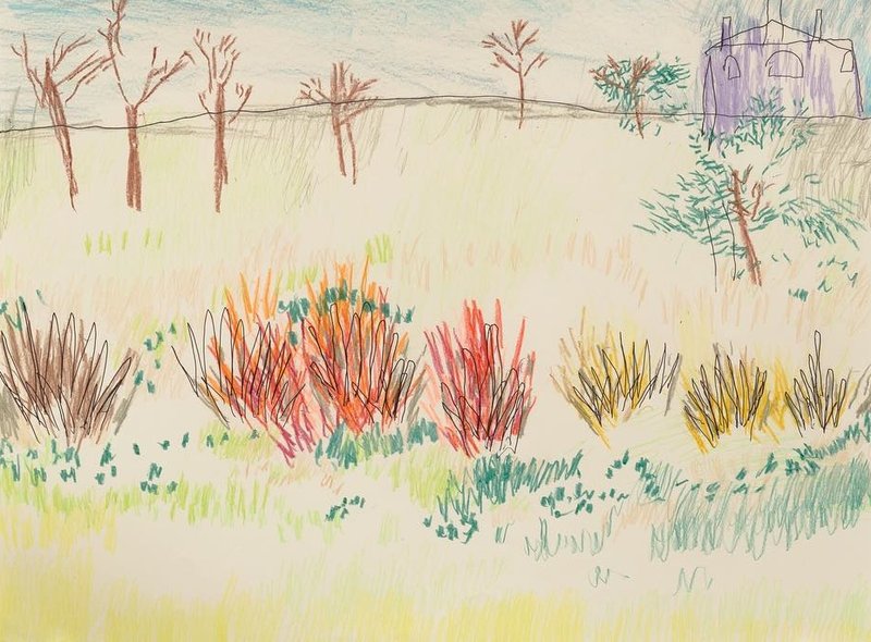 Emilie Louise Gossiaux, Dogwood Shrubs, 2021