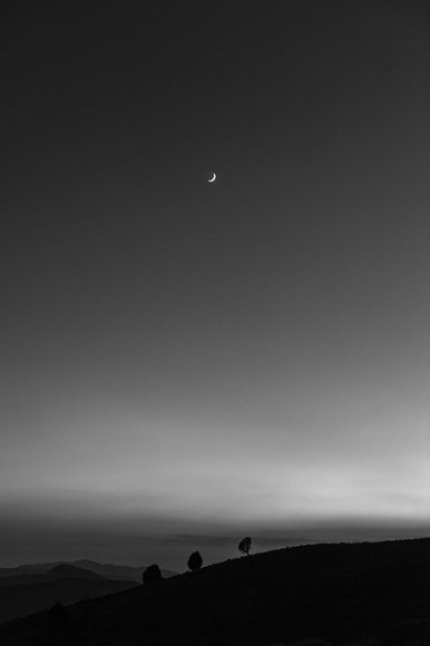 Amirhossein Heshmati, Untitled, 2008
