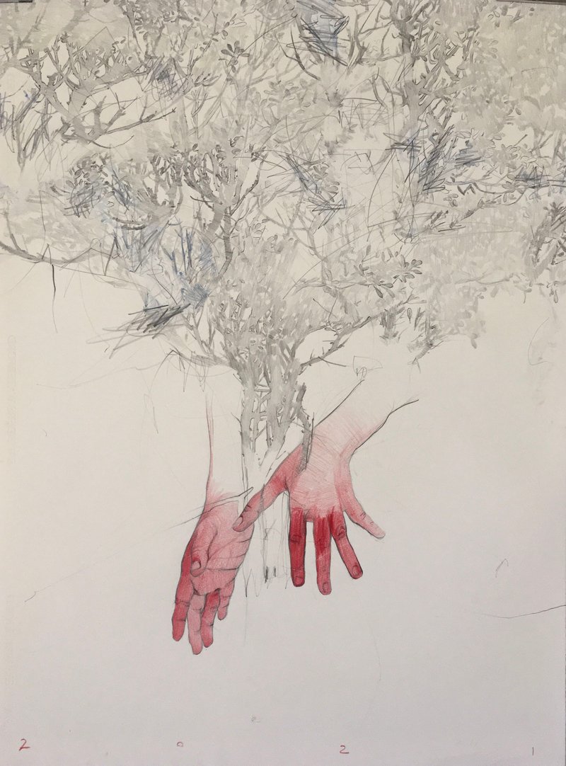 Behnaz Ghasemi, Untitled