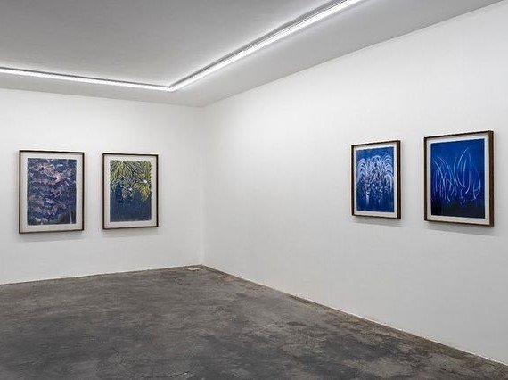 Blooming Lights, installation view