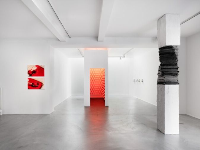 Installation view.