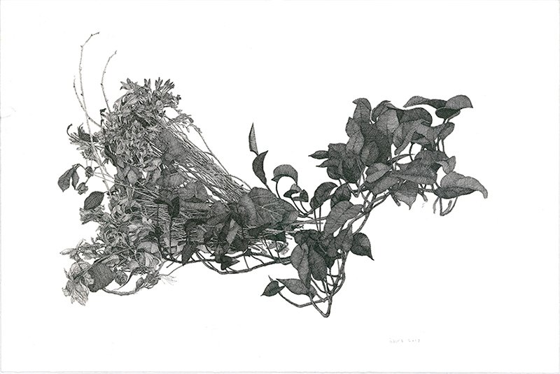 Kasra Golrang, Untitled, 2019