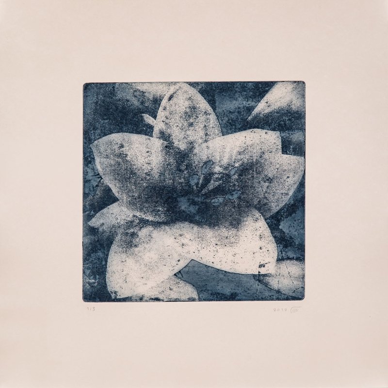 Kazhal Fakhri, Untitled, 2019
