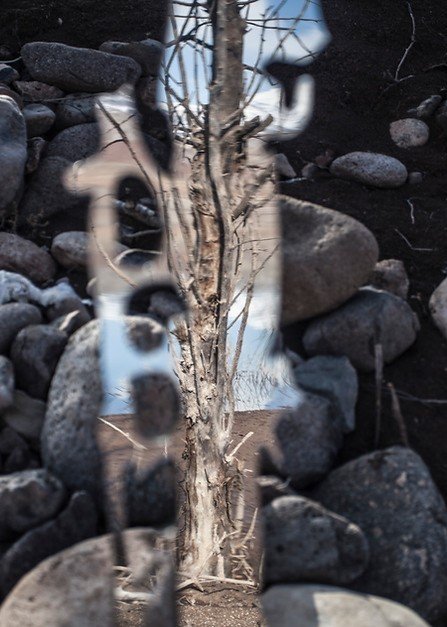 Bibi Manavi, Memory of Walnut Trees II, 2022