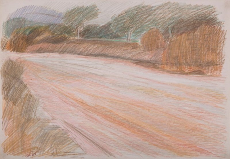 The Late Ali Golestaneh, Untitled, 2019