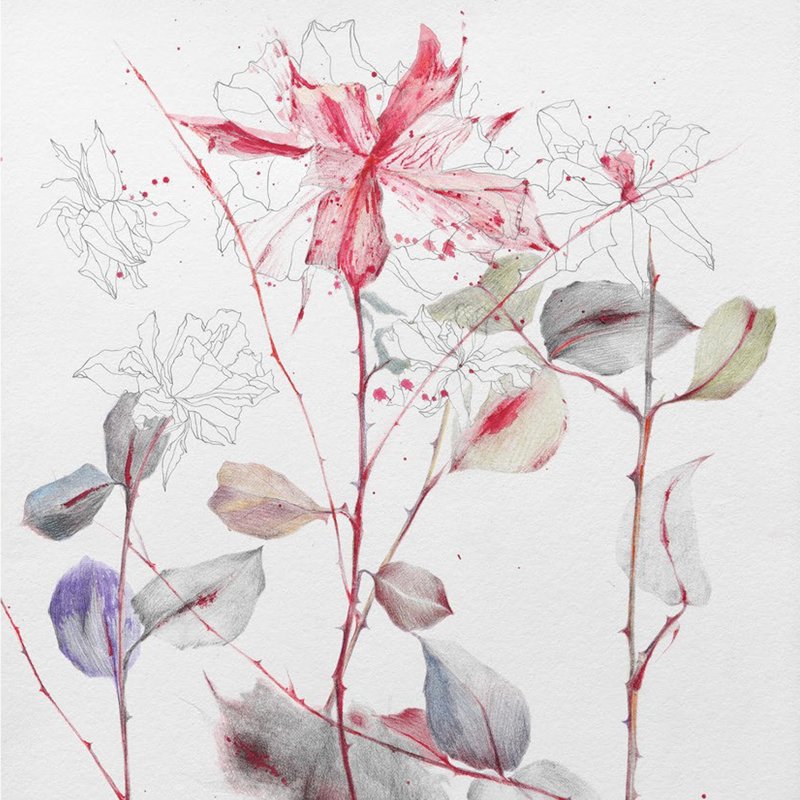 solo show - Nazila Moghadam