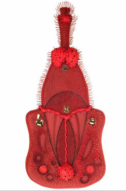 Pani Bolbolabadi, True Red Weevil, 2018