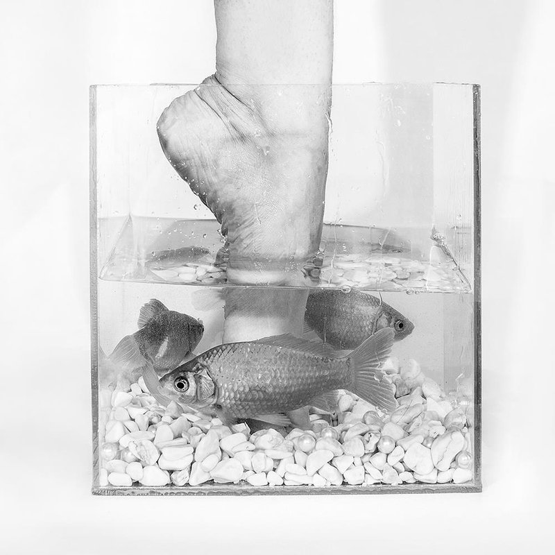 Mahdieh Afshar Bakeshloo, Touch of Life
