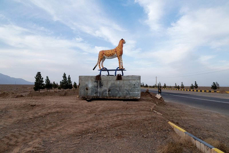 Mehri Rahimzadeh, Semnan Province, Shahroud, 2018