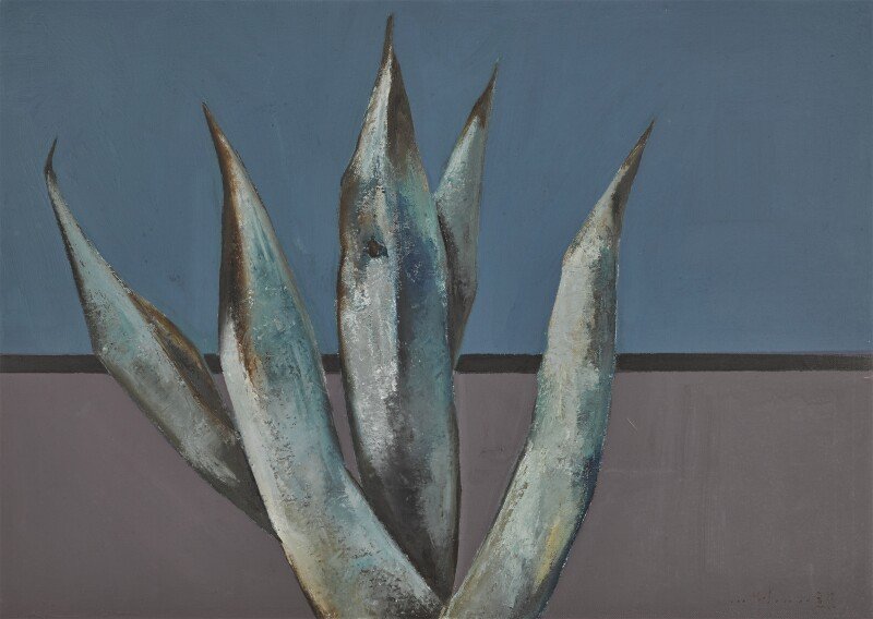 Bahman Mohassess, Untitled (Agave)